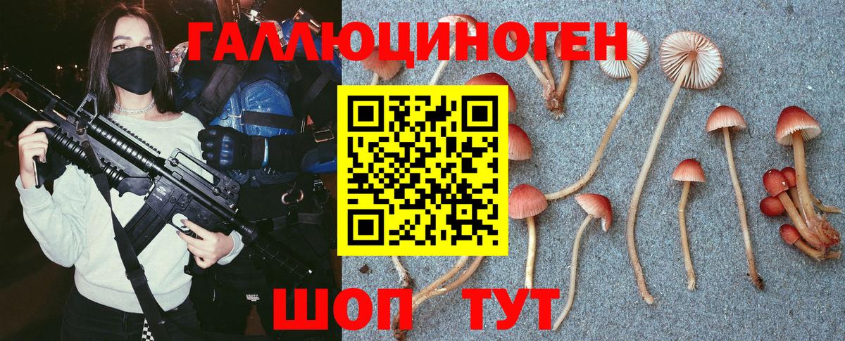 Псилоцибиновые грибы Magic Shrooms Узловая