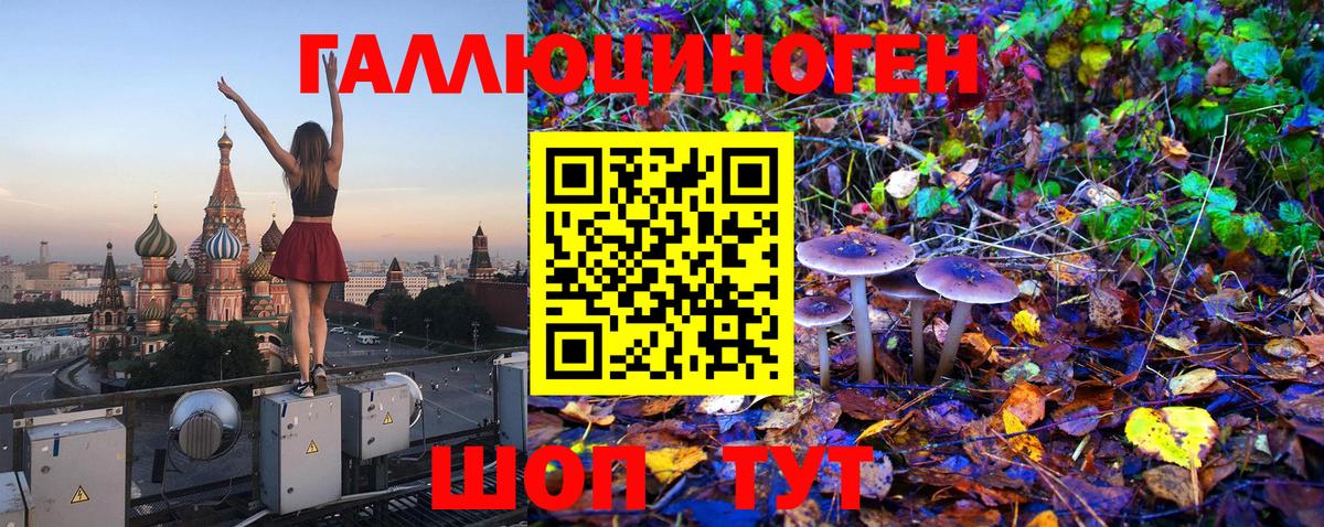 Галлюциногенные грибы MAGIC MUSHROOMS  Вход с VPN  Узловая 