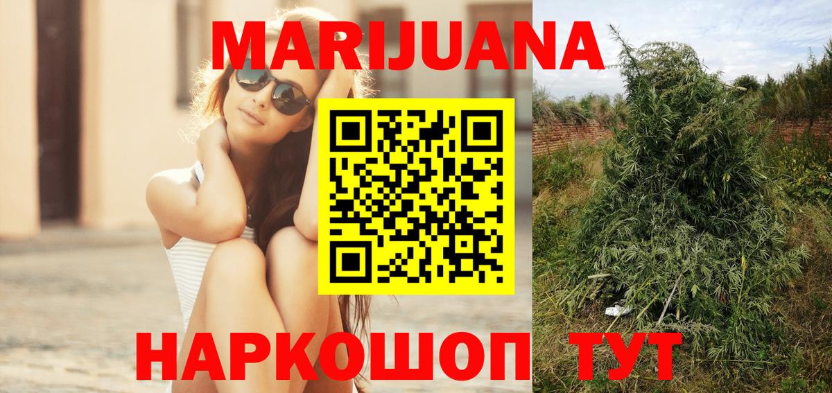 Шишки марихуана Bruce Banner  Канабис план  Канабис гибрид  Узловая  Вход с VPN 